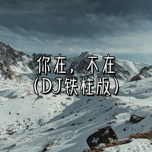 你在，不在（DJ铁柱版）