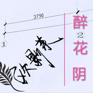 醉花阴（Cover 封茗囧菌）