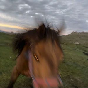 十一画-雨（十一画 remix）