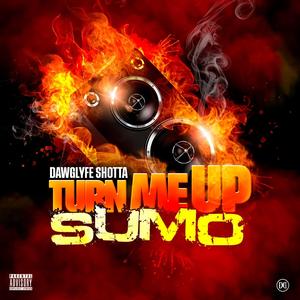Turn Me Up Sumo