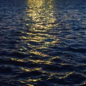 刻在我心底的名字