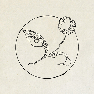 Aurora (Original Mix)