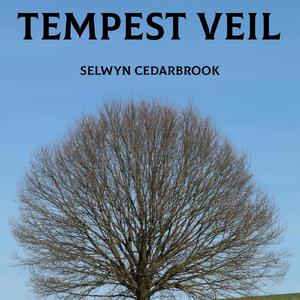 Tempest Veil