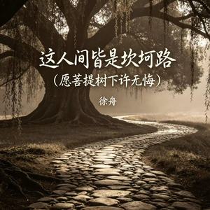 这人间皆是坎坷路（愿菩提树下许无悔）