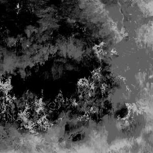 Litterbug (feat. FAWWN) (Instrumental) (Instrumental)