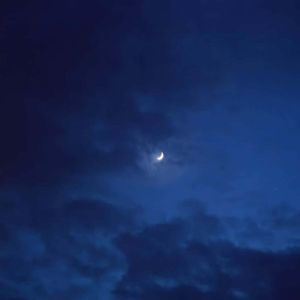 遥望世间的旅客