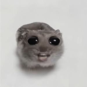 悲伤鼠鼠唱歌meme