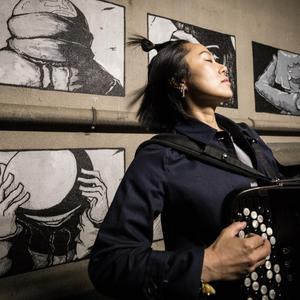 困在玻璃橱窗里的苍蝇