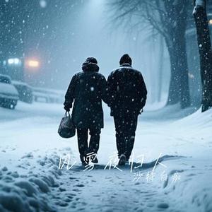 风雪夜归人