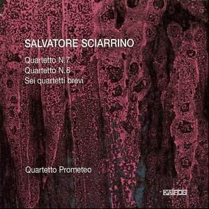 Quartetto N.7 [1999]