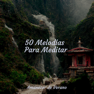 Hechizo floreciente de armonía cautivadora