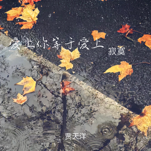 爱上你等于爱上寂寞