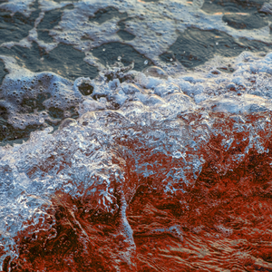 I'm at home (Original Mix)