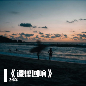 《遗憾回响》