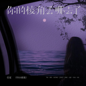 你的棱角丢去哪了 (DJ小胜版)