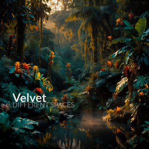 Velvet
