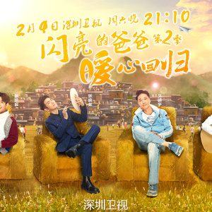 闪亮的爸爸（导演版）