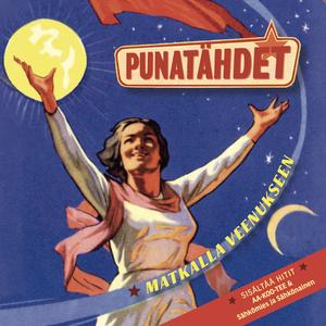 Sähkömies ja sähkönainen