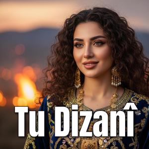 Tu Dizanî