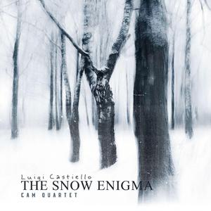 The Snow Enigma (feat. CAM Quartet, Stella Manfredi, Antonella De Chiara Violinist, Nico Giordano, Pasquale Termini & Antonio Esposito)