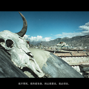 迷藏（Cover 刘昊霖 / 唐映枫）