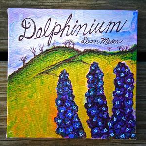Delphinium
