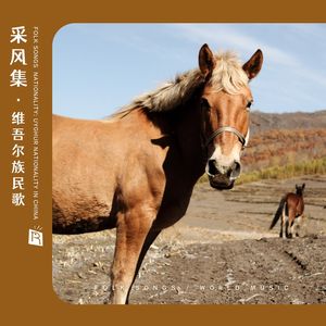 罗布泊民歌联唱