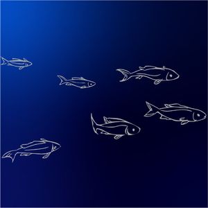 夜是克莱因蓝的忧伤