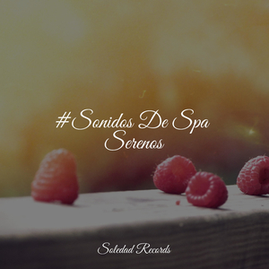 Escribiendo Al Atardecer