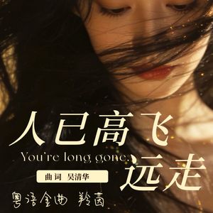 人已高飞远走(DJ版)