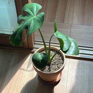 그들은 지구인 나는 외계인