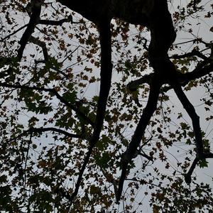 是他不是我(Prod by FaunmU)