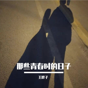 醒着醉_王胖子（翻自 马良）