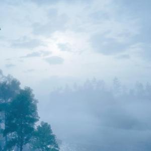 4L0N3W1TH(deejay) (feat. NEWE)