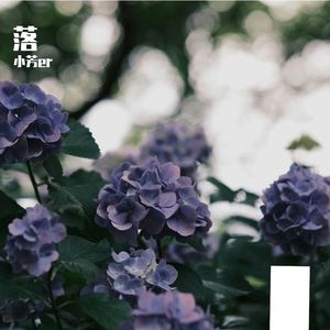 落 (花开花落日升日没)