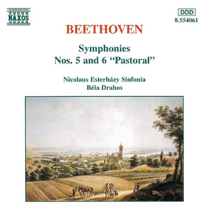 Symphony No. 5 in C Minor, Op. 67:II. Andante con moto