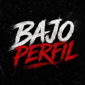 Bajo perfil
