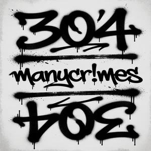 304s