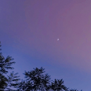 Love & Winter(PROD BY XVIBE)