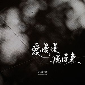 爱慢慢慢慢来1.2x