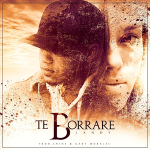 Te Borraré