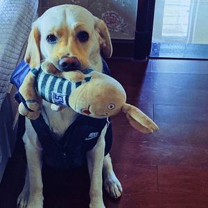 LOVE FLOW（Prod.By Xiangyue）