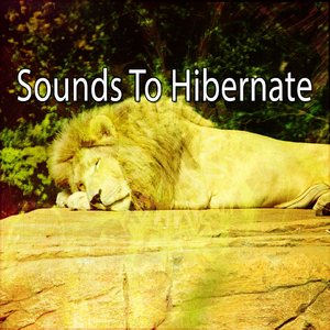 Tea In The Chinese Gardens