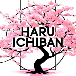 桃色に染まる散歩道　A Stroll Through Peach-Colored Scenery