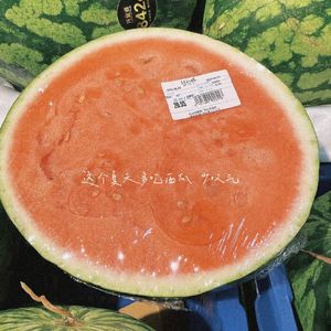 偷生（吉他弹唱）