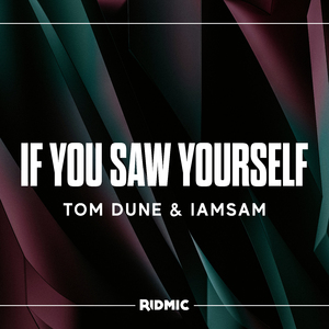 If You Saw Yourself