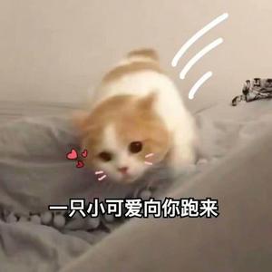 白月光与朱砂痣（清甜初恋音）cover大籽