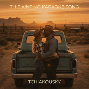 This Aint No Karaoke Song