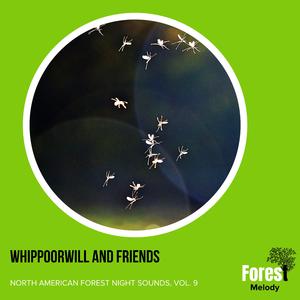 Turgid Wind