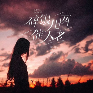 碎银几两催人老